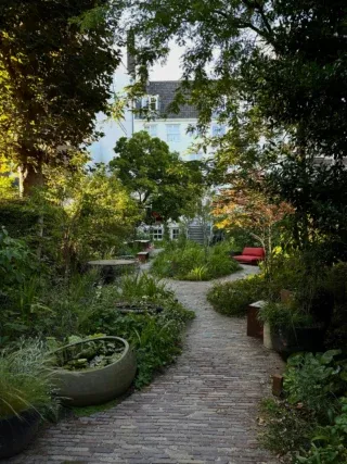 Spot the difference 🌿✨ A garden transformation in the heart of Amsterdam completed in February 2026. We loved bringing this space to life!

#garden #amsterdam #gardendesign #biodiversity #plants