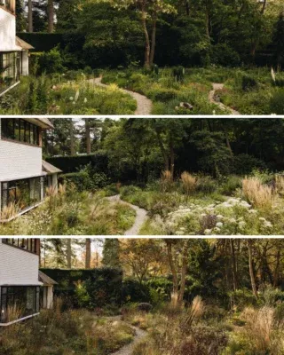 Seasonal change in one of our gardens from May, September and November 🌿🍂✨

#garden #landscape #plants #nature #biodiversity