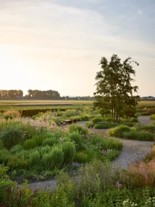 Endless planting possibilities at one of our gardens @future.plants ✨
We’re exploring new varieties, testing thoughtful plant combinations, and finding fresh inspiration for planting schemes that evolve beautifully through the seasons at the Future Plants Trial Garden. 
Every visit offers new ideas and a deeper understanding of how plants grow together over time. 🥳

📸 @garymorrisroe