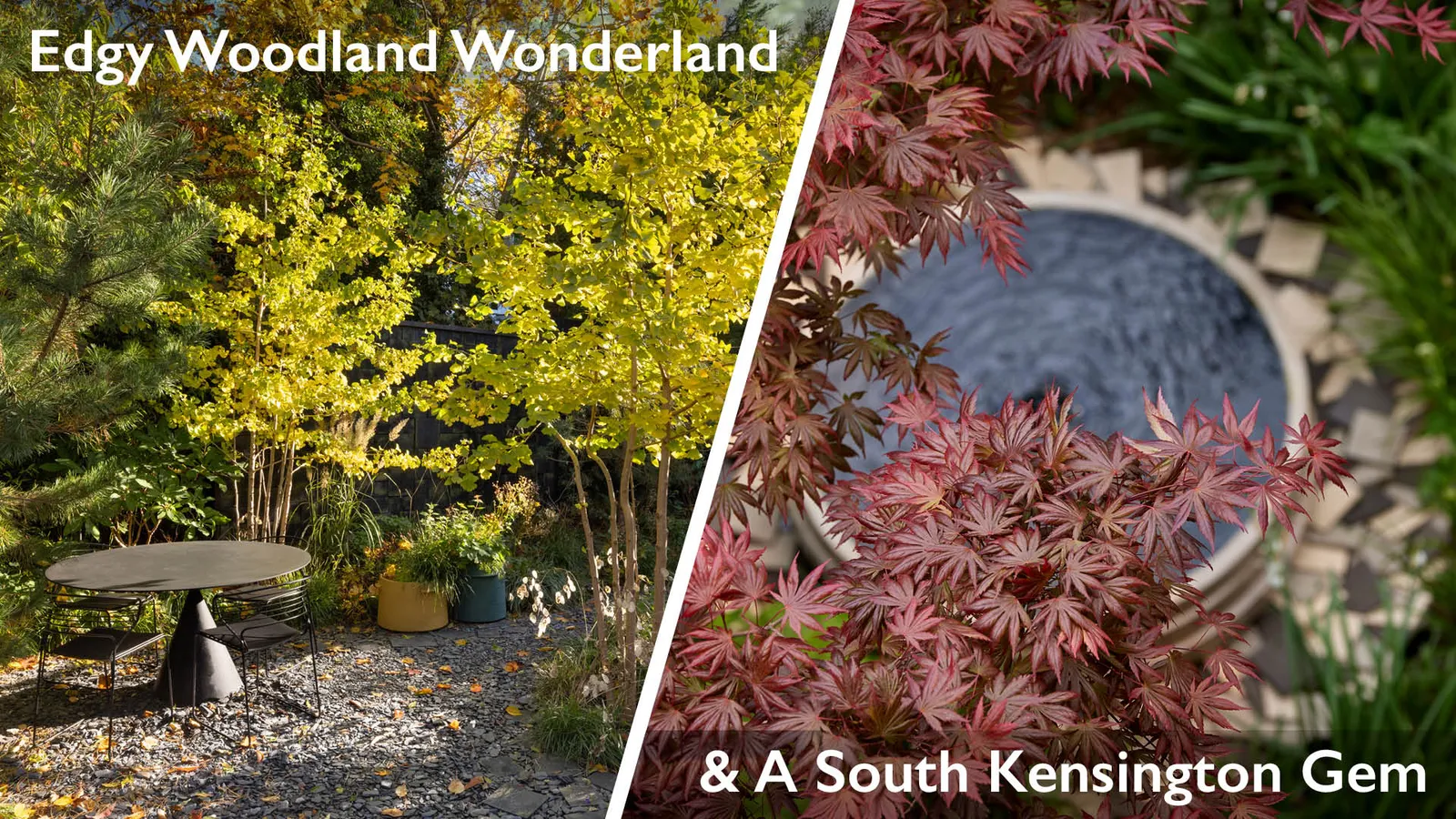 Lecture 5 - Edgy woodland Wonderland and A South Kensington Gem4